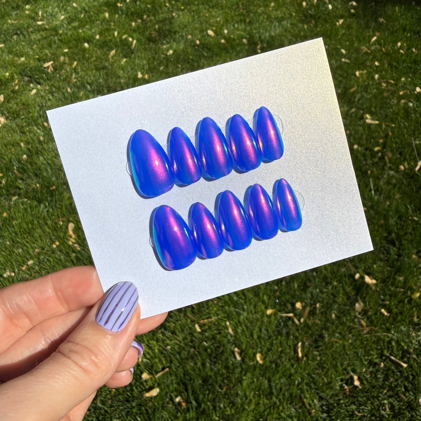Set of blue and purple press on nails on a white card held by a hand against a grassy background